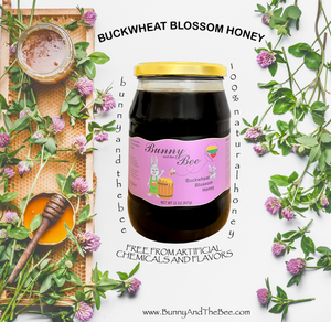 Buckwheat Blossom Honey - 32oz - 3 PACK - Bunny And The Bee - Raw Natural Honey