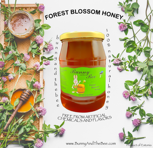 Forest Blossom Honey - 32oz - 3 PACK - Bunny And The Bee - Raw Natural Honey